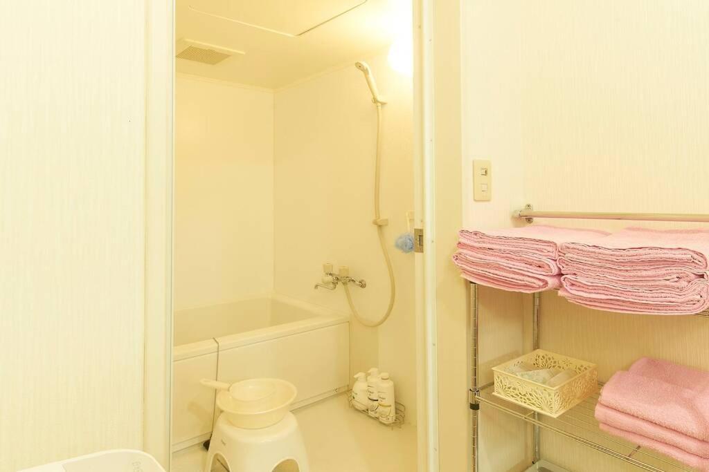 Esperanza103 広い綺麗快適高速wifi Apartment Tokyo Luaran gambar